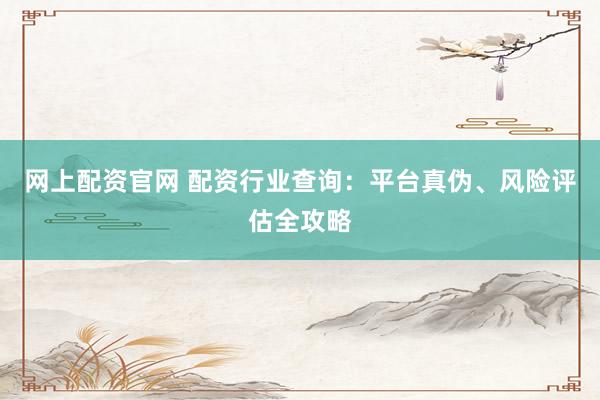 网上配资官网 配资行业查询：平台真伪、风险评估全攻略