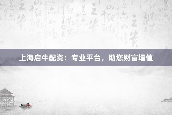 上海启牛配资：专业平台，助您财富增值