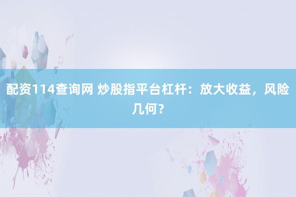 配资114查询网 炒股指平台杠杆：放大收益，风险几何？
