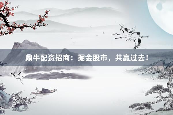 鼎牛配资招商：掘金股市，共赢过去！