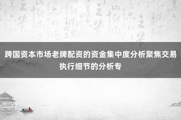 跨国资本市场老牌配资的资金集中度分析聚焦交易执行细节的分析专