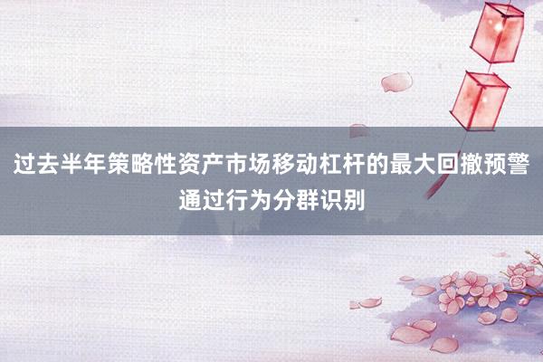 过去半年策略性资产市场移动杠杆的最大回撤预警通过行为分群识别