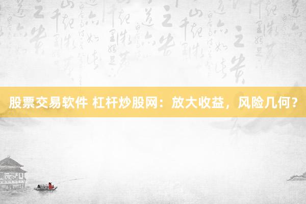 股票交易软件 杠杆炒股网：放大收益，风险几何？